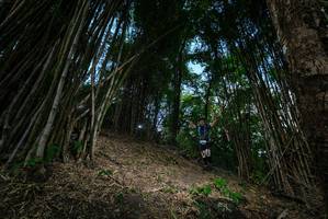 BIB: 
                            <button type="button" onclick="openModal(19395381)" class="btn btn-primary btn-sm float-right btn-popup" data-toggle="modal" data-target=".modal-high-quality">
                        <i class="fas fa-shopping-cart"></i> Add to Cart
                    </button>
                                            <button type="button" onclick="isThisMe(19395381, true)" class="btn btn-success btn-sm float-right btn-popup btn-isme hidden" data-toggle="tooltip" data-placement="bottom" title="นี่คือรูปของคุณใช่ไหม คลิกที่นี่เพื่อเอาเข้าอัลบั้ม">
                        <i class="fas fa-plus"></i> Add to album
                    </button>
                    <button type="button" onclick="isThisMe(19395381, false)" class="btn btn-warning btn-sm float-right btn-popup btn-isnotme hidden">
                        <i class="fas fa-ban"></i> Remove from album
                    </button>